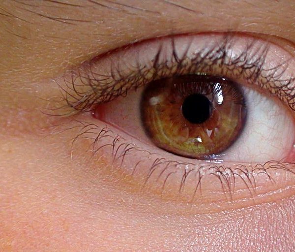 Ni dioses ni espíritus: una mirada bíblica a la naturaleza humana