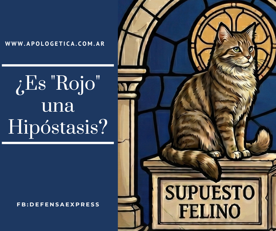 metafisica de un gato